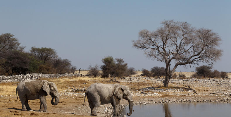 Etosha 